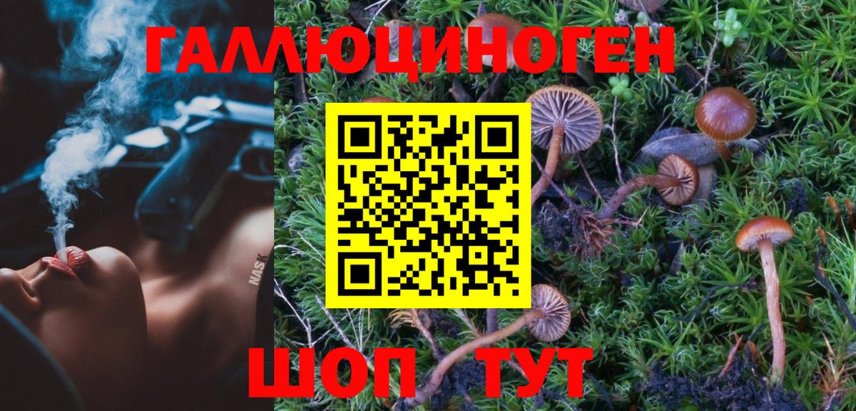 Галлюциногенные грибы прущие грибы  Вход с VPN  Ивантеевка 