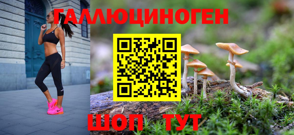 Галлюциногенные грибы Cubensis Ивантеевка